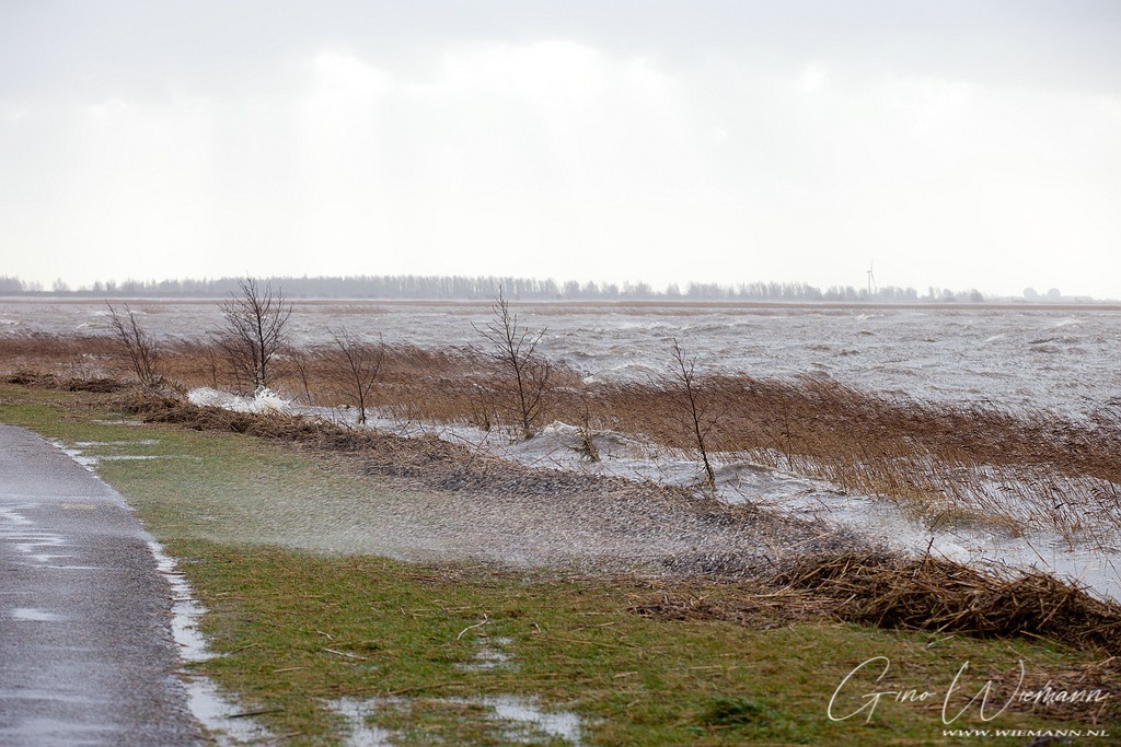 Lauwersoog storm 5 januari 2012