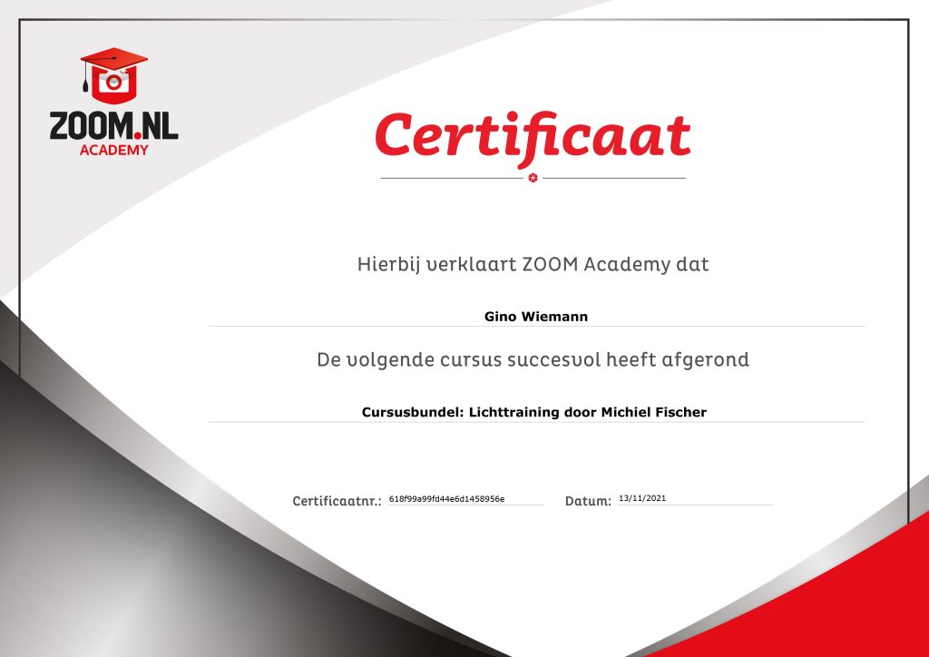 certificate-cursusbundel-lichttraining-door-michiel-fischer-Gino Wiemann